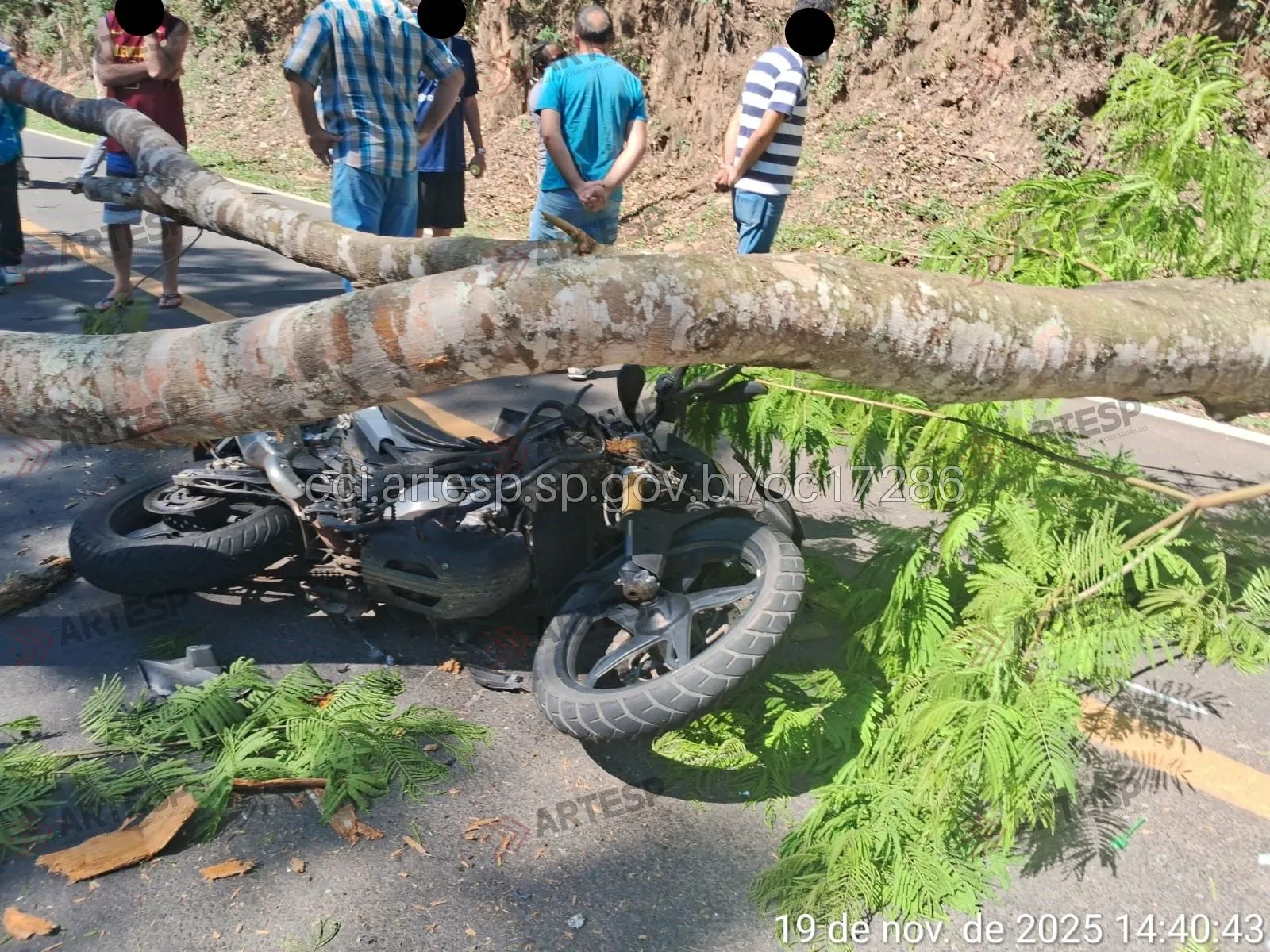 Moto BMW G310 no km 0,5 em Paraibuna rodovia dos tamoios