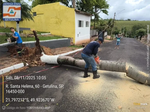 Rua Santa Helena Getulina