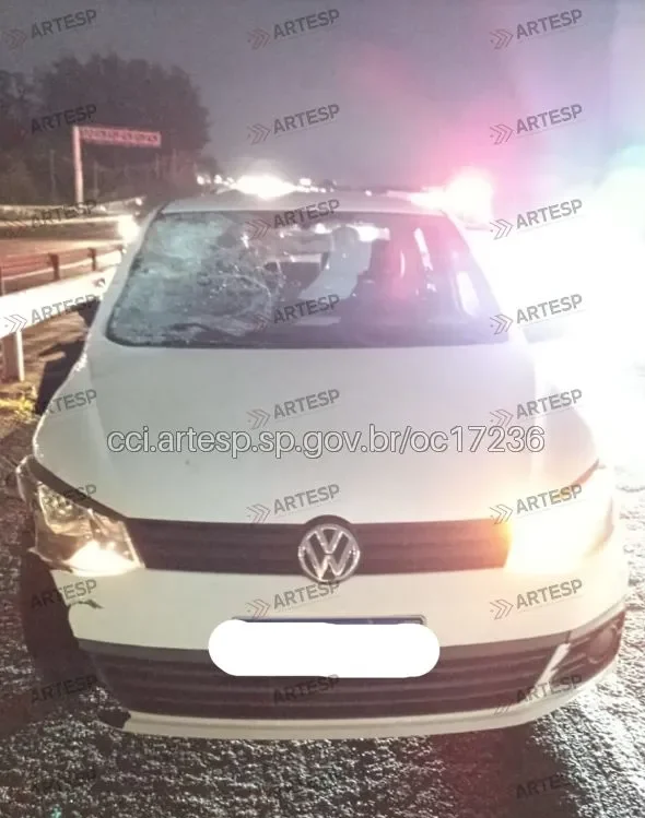 Voyage no km 144,5 em Campinas