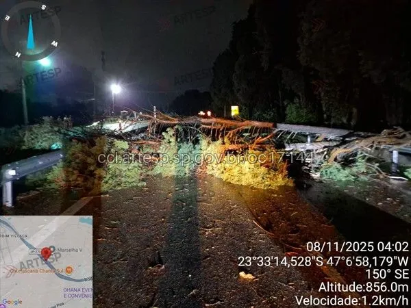 Queda de árvore no km 57,6 em São Roque