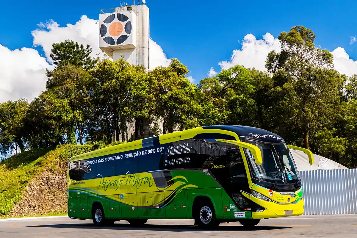 Marcopolo Empresa Pássaro Marron