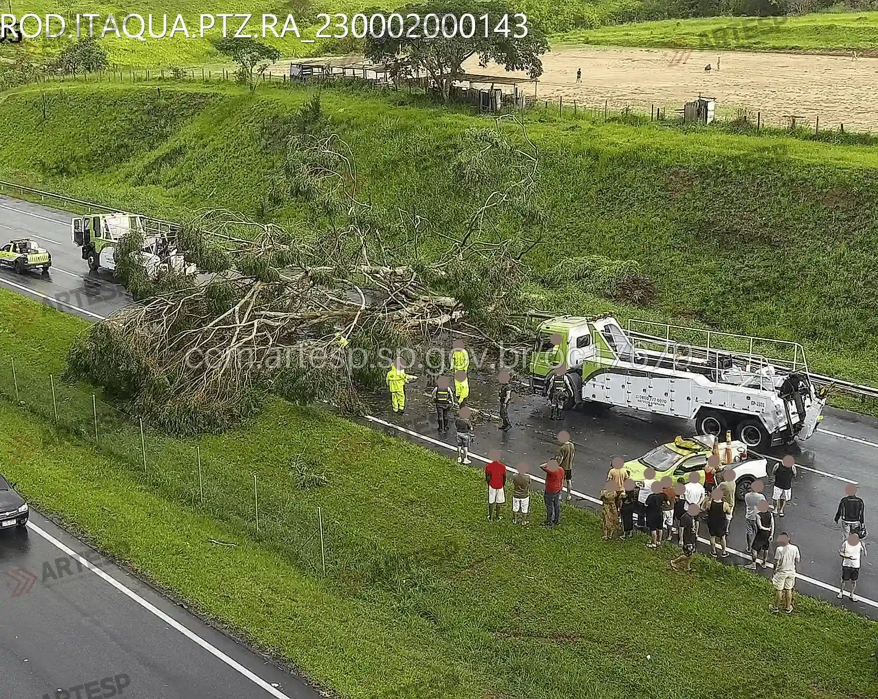 queda de árvore rodovia ayrton senna