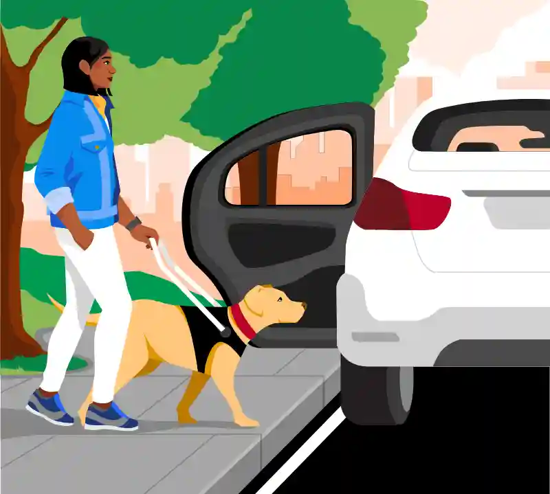 usuários com cão-guia