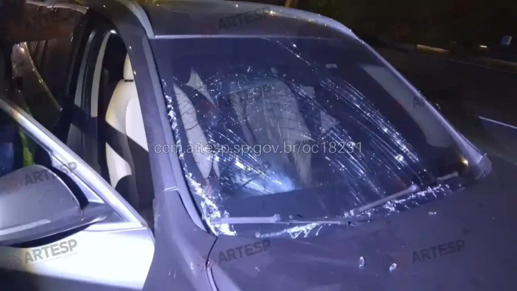 Automóvel BMW X1 rodovia dos Imigrantes