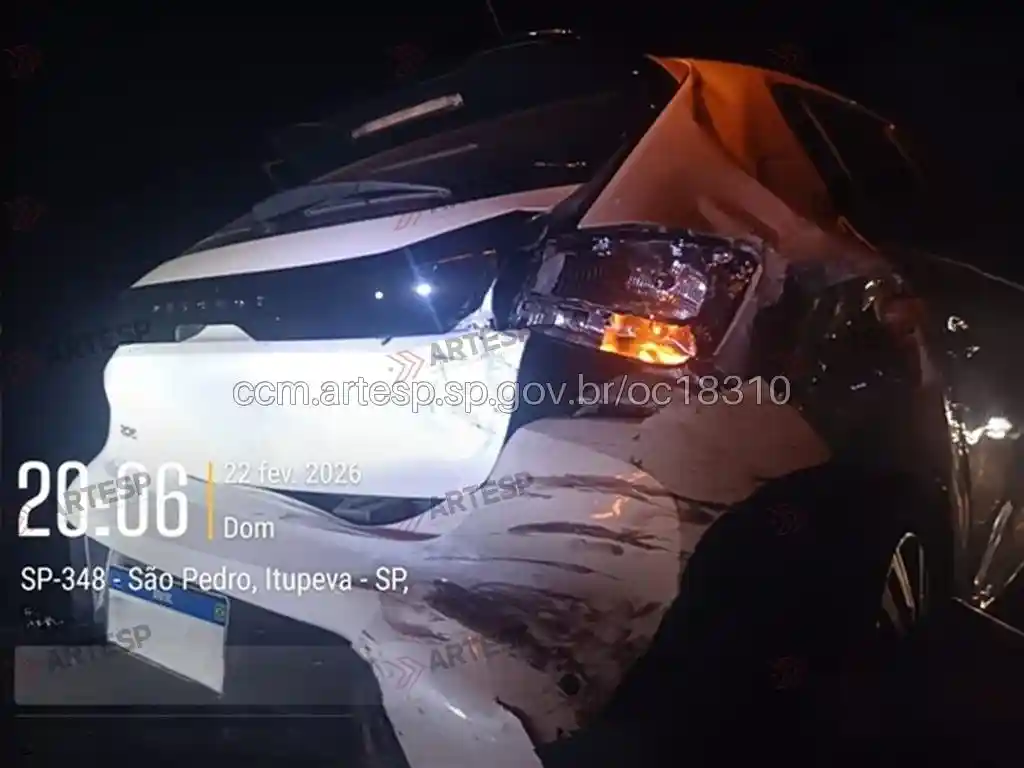 Automóvel Peugeot vinhedo