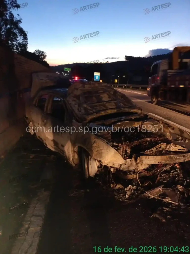 Ford Fusion rodovia dos Tamoios incêndio