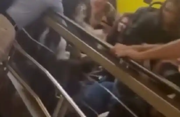 esteira linhas amarela e verde transferência