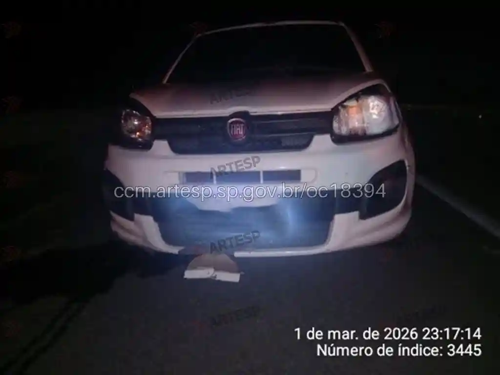 Fiat Uno rodovia raposo tavares