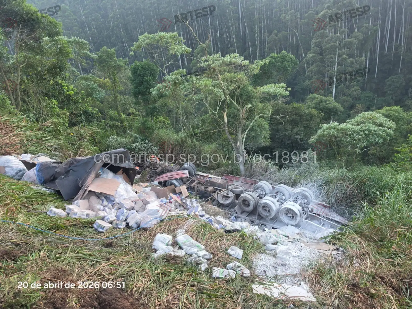 RODOVIA DOS Bandeirantes Carreta Mercedes-Benz LS 1935