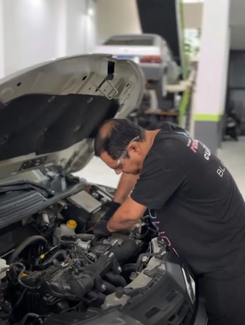 rodovias federais do brasil