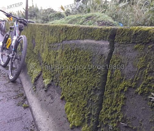 Bicicleta cônego domênico rangoni