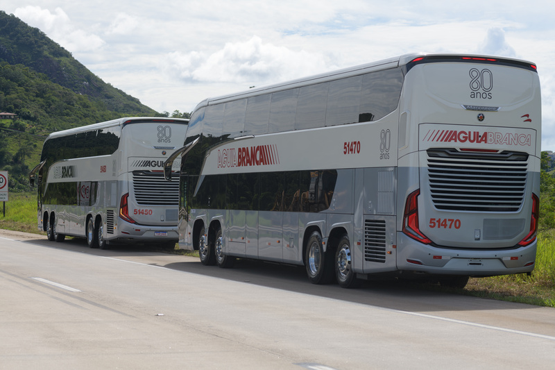 dois ônibus