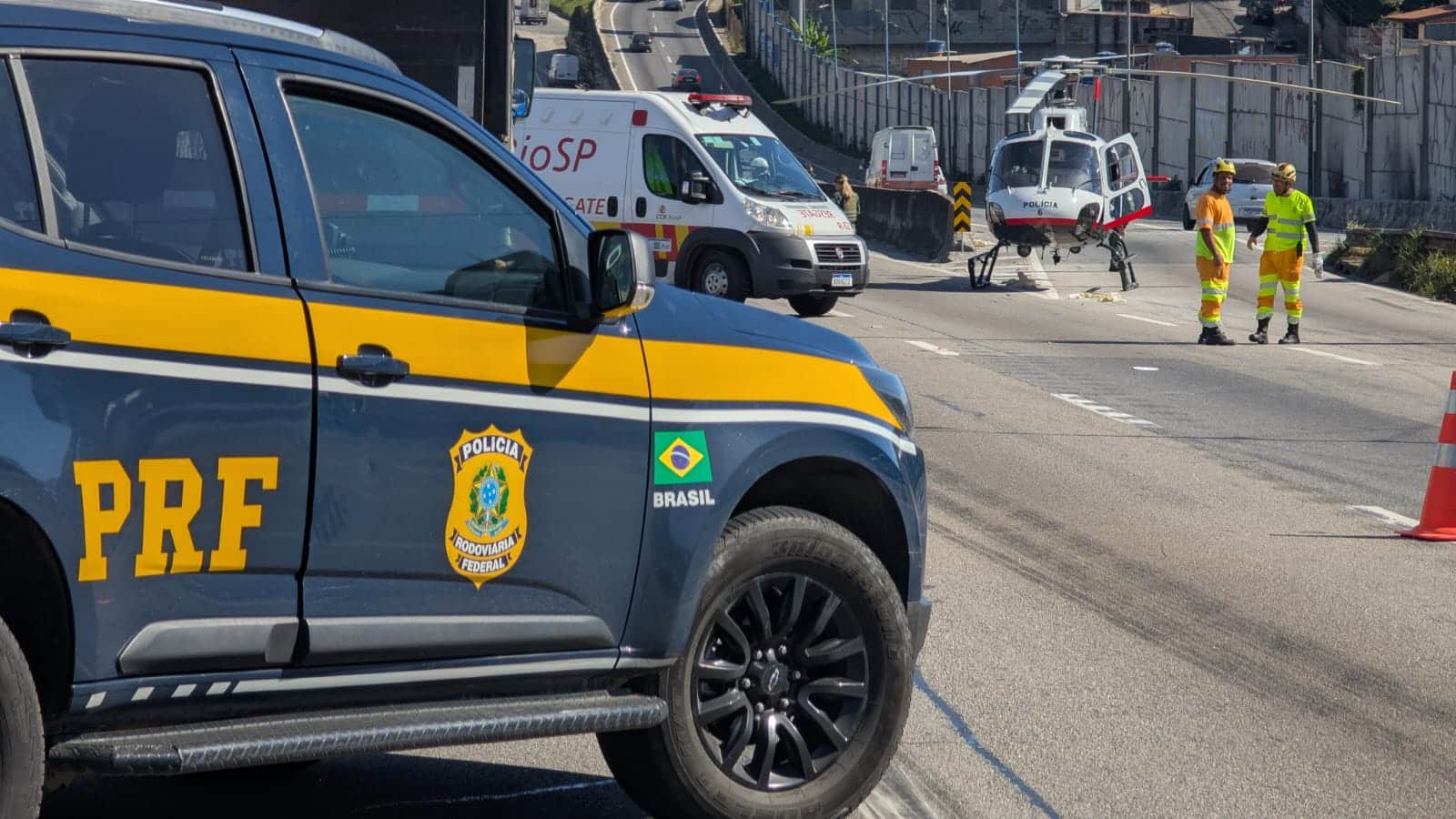 rodovia dutra guarulhos atropelamento águia