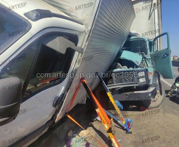 Caminhões Mercedes-Benz L1113 e Iveco Daily