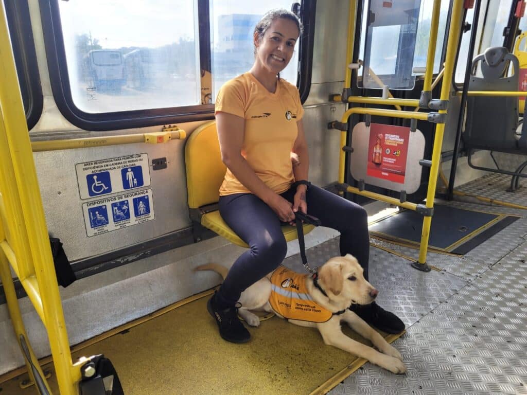 brt guias