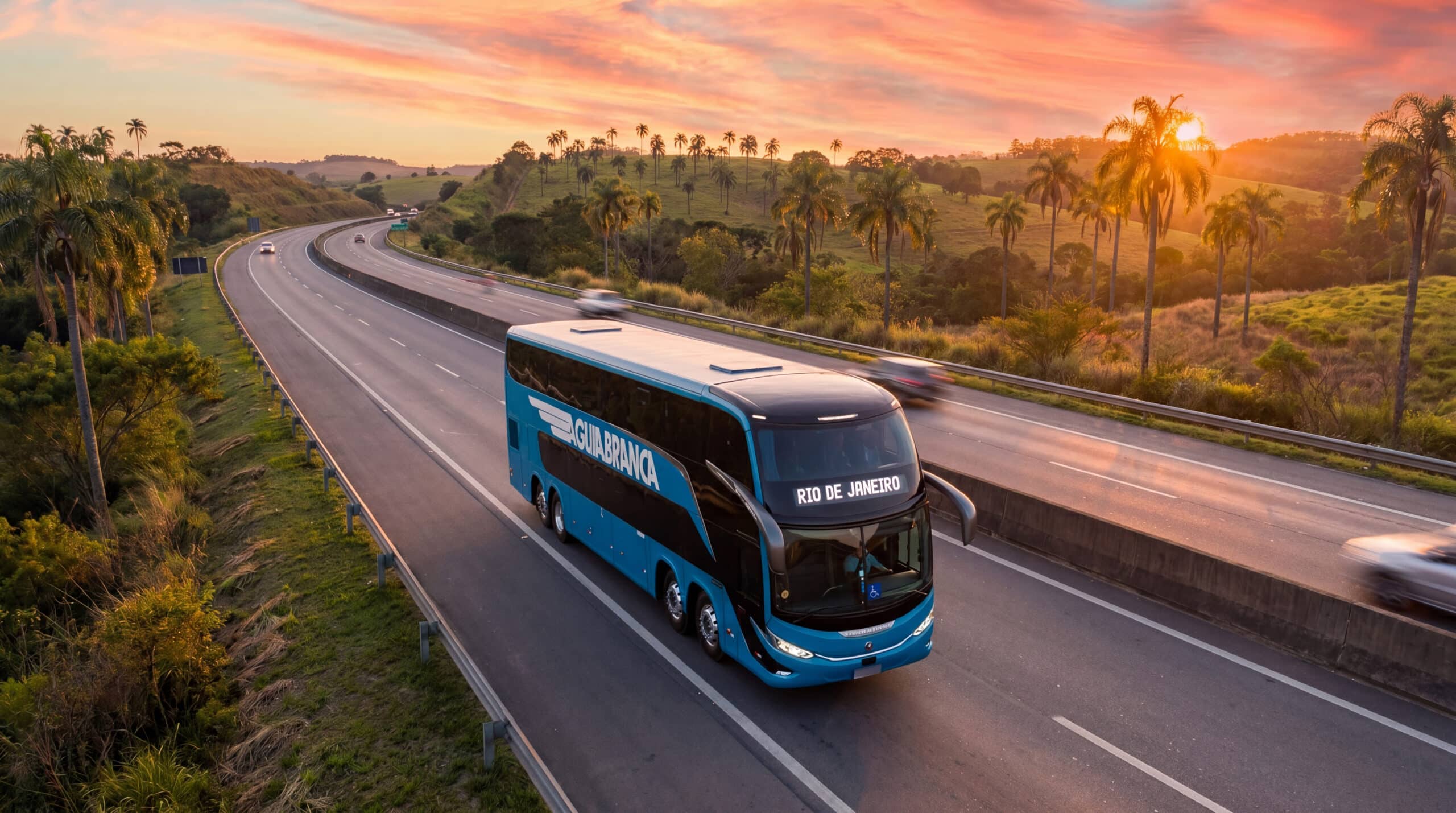 ônibus da águia branca