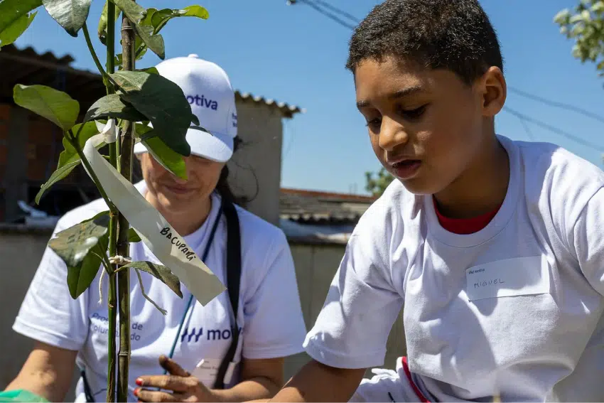 Ações de educação ambiental