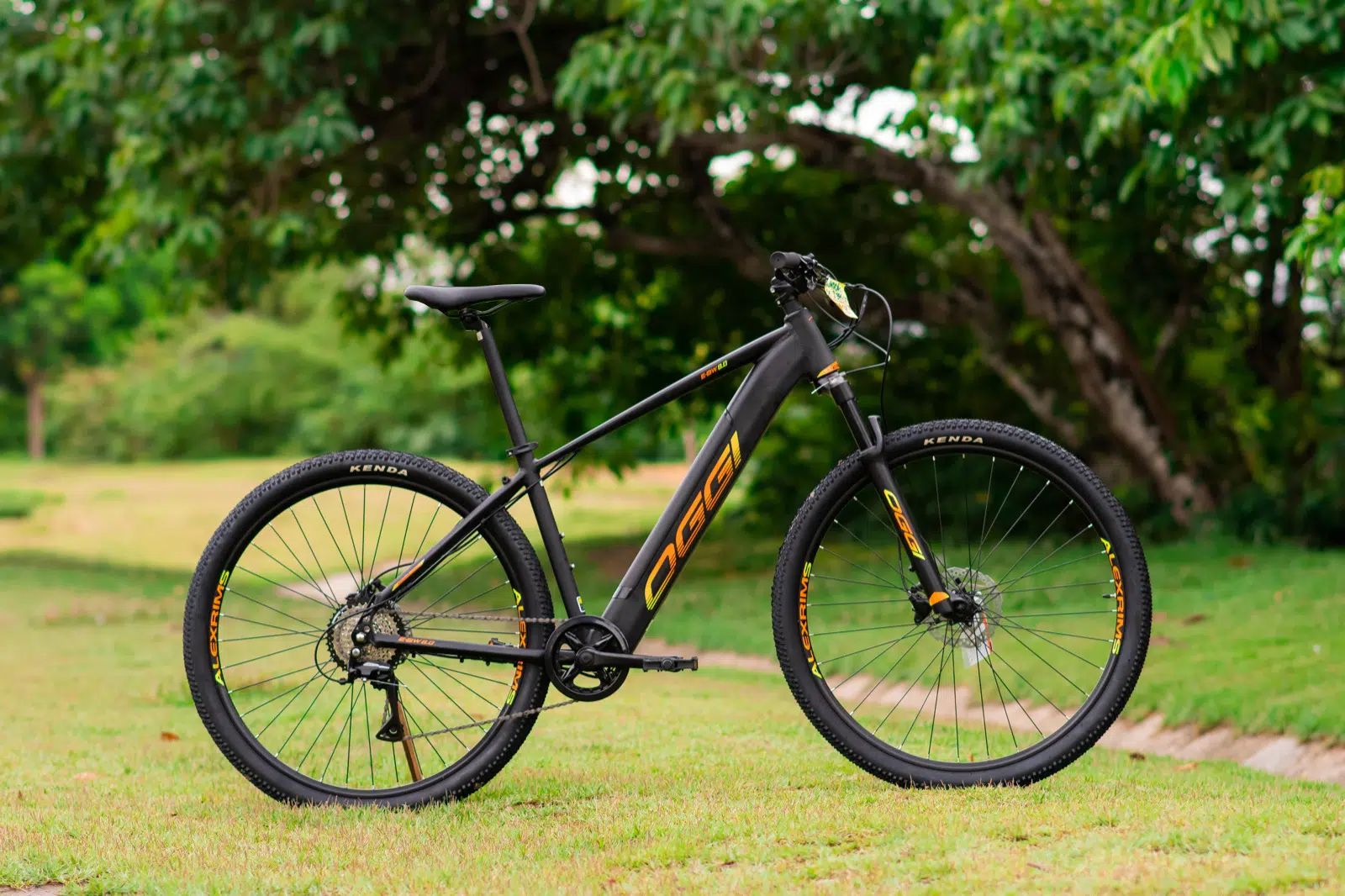 E-bikes