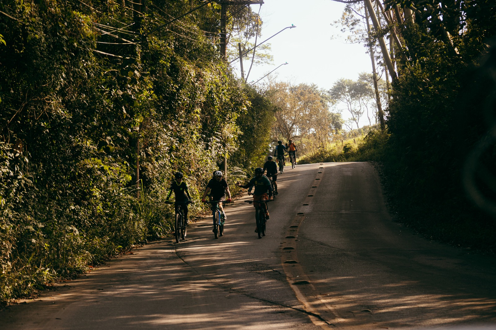 Guia online da Trilha Interparques de São Paulo