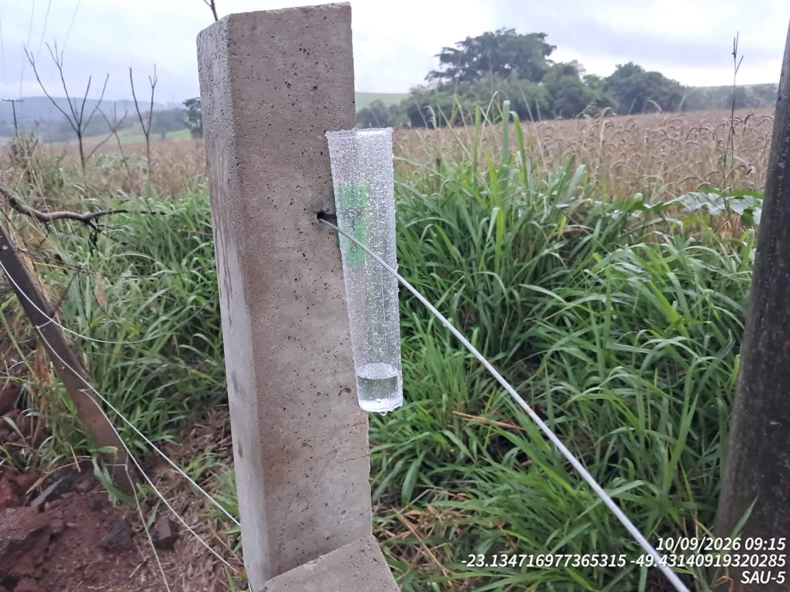 Raposo Tavares piraju