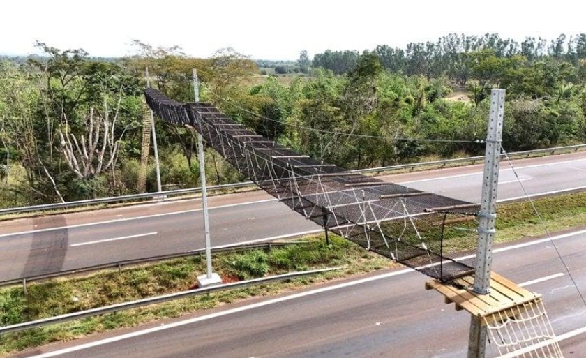 passagem aérea de fauna