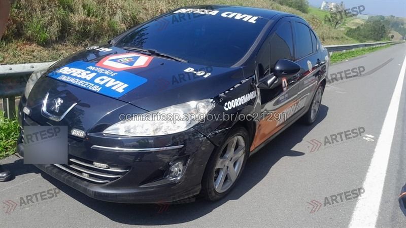 Automóvel Peugeot rodovia carvalho Pinto