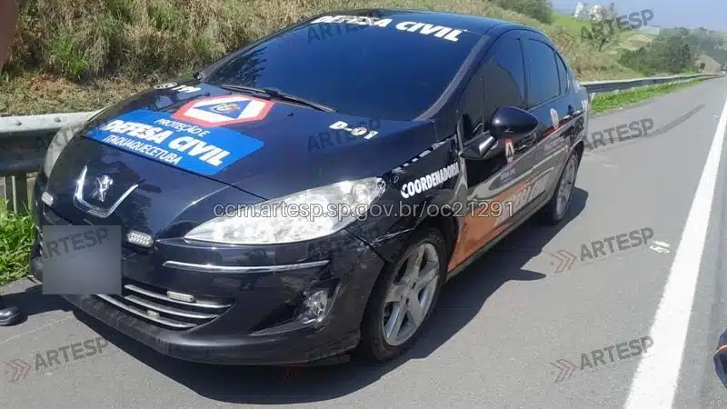 Automóvel Peugeot rodovia carvalho Pinto
