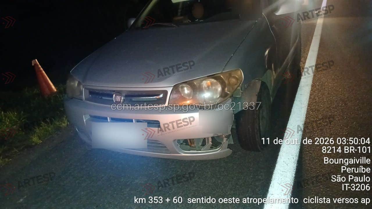 Fiat Palio padre manoel
