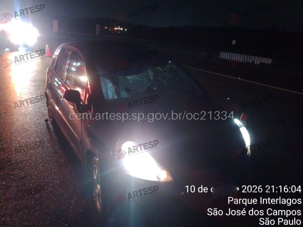 Honda Fit carvalho pinto