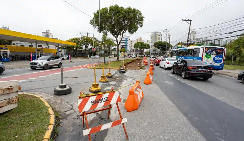 reorganização viária das avenidas