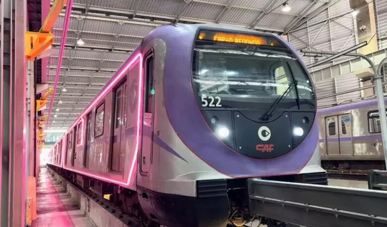 trem rosa